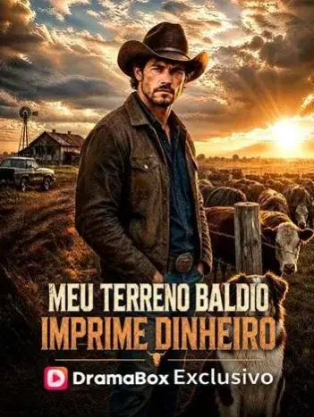Meu Terreno Baldio Imprime Dinheiro